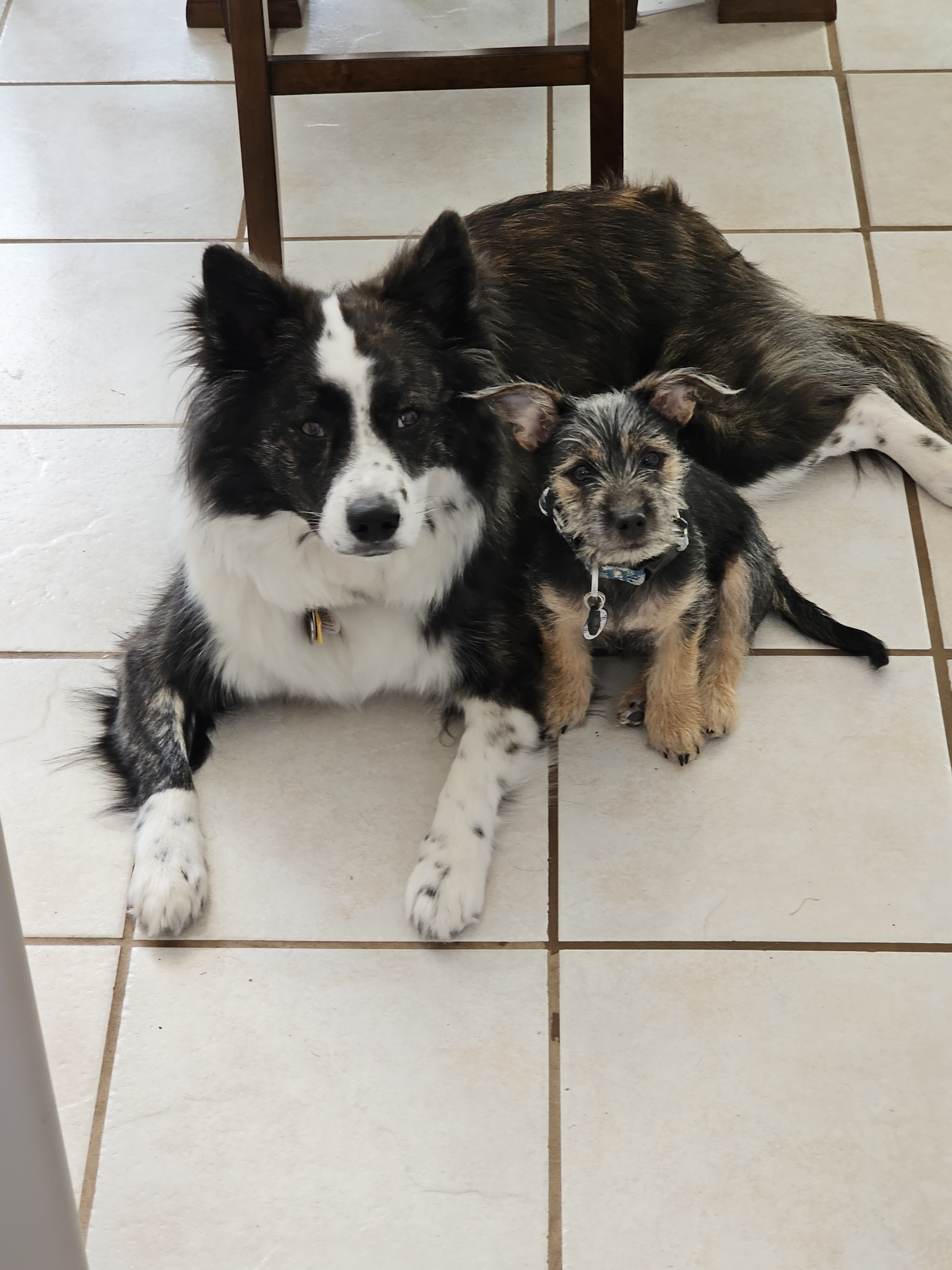 RW Bookkeeping & Notary office helpers